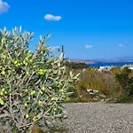 Saint Alexander Mykonos Дом отдыха Mykonos Town