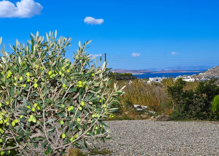 Saint Alexander Mykonos 펜션 Mykonos Town