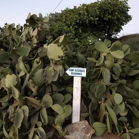 Saint Alexander Mykonos Mykonos Town